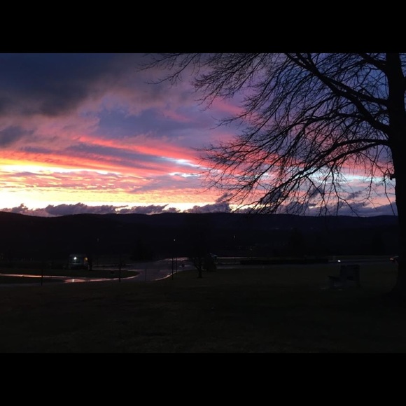 Meet your Posher, Raqui - Picture 1 of 1